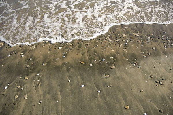 Мытье пляжа — стоковое фото
