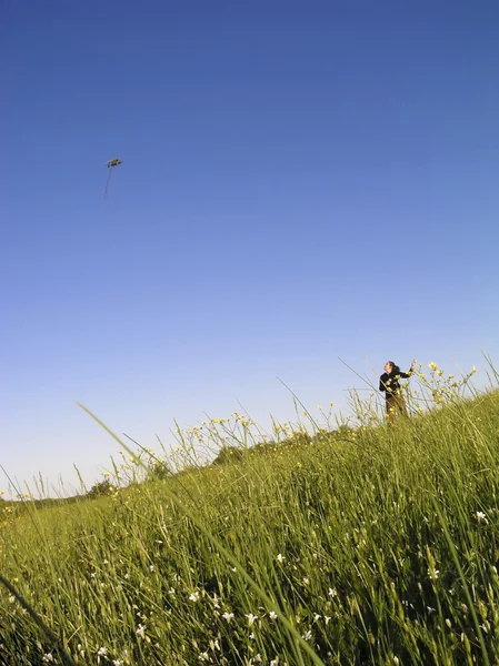 凧の飛行 — ストック写真