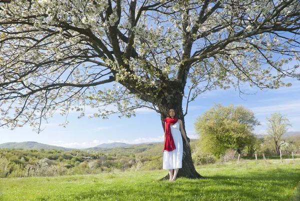 Uno con la natura — Foto Stock