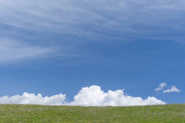 Blue sky, green meadow — Stock Photo, Image