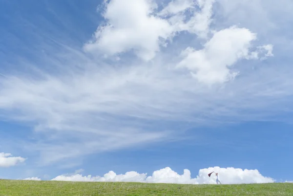 stock image Free spirit