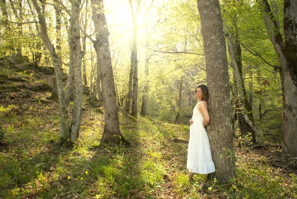 Guérison dans la nature — Photo