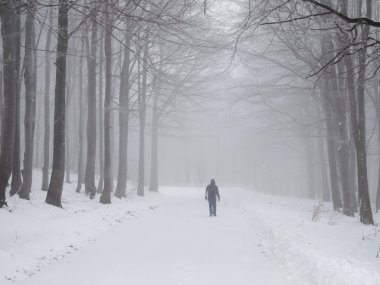 Misty winter walk clipart