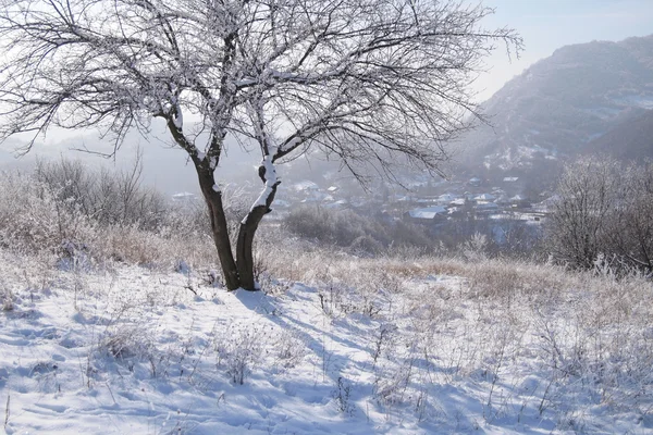 겨울 산악 마 — 스톡 사진