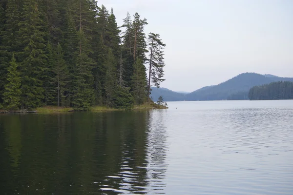 Spokojne jezioro — Zdjęcie stockowe