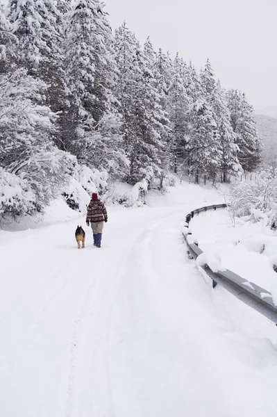 Spaziergang auf der verschneiten Straße — Stockfoto
