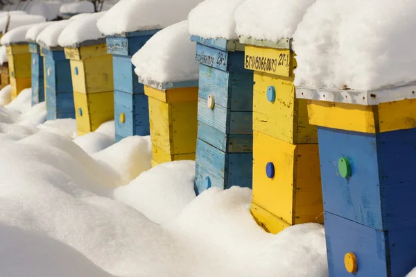 Kolorowe domy w zimie — Zdjęcie stockowe