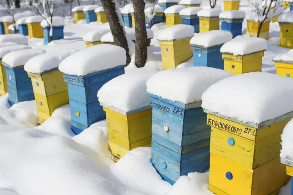 Case colorate in inverno — Foto Stock