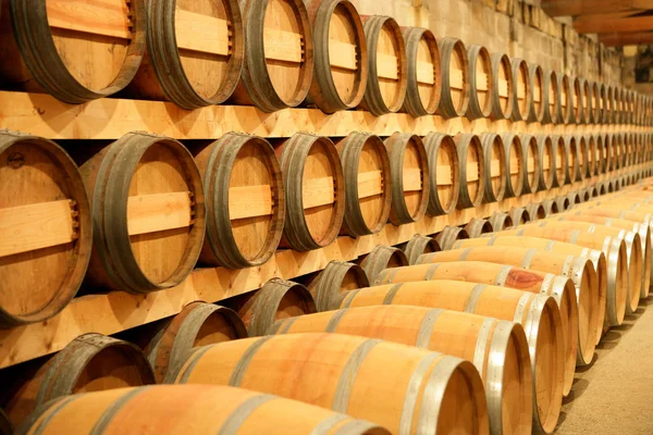 Barrels in a cellar — Stock Photo, Image