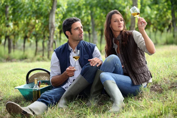 Couple de vignerons avec verres de vin — Photo