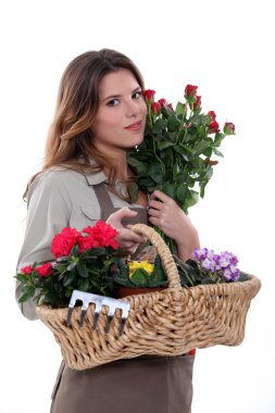 Florist holding basket of flowers clipart