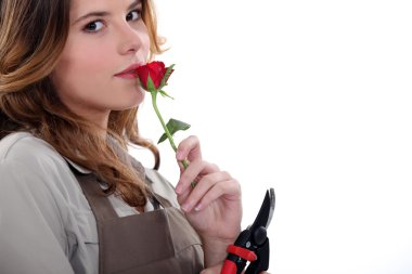 Woman smelling a rose clipart