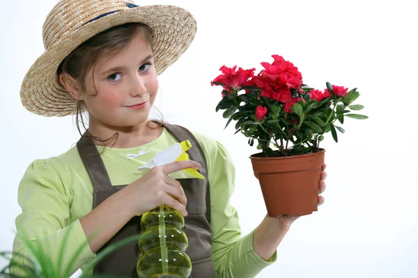 Kleines Mädchen gießt Pflanze — Stockfoto