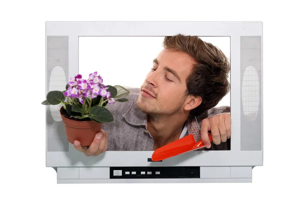 Man with plant and shovel passing through a TV screen — Stock Photo, Image