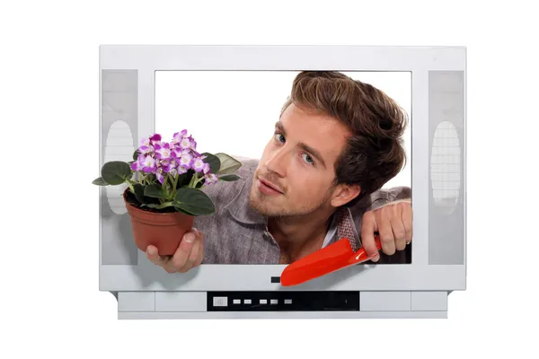 Uomo foro vaso da fiori e una spatola guardando attraverso una cornice televisiva — Foto Stock