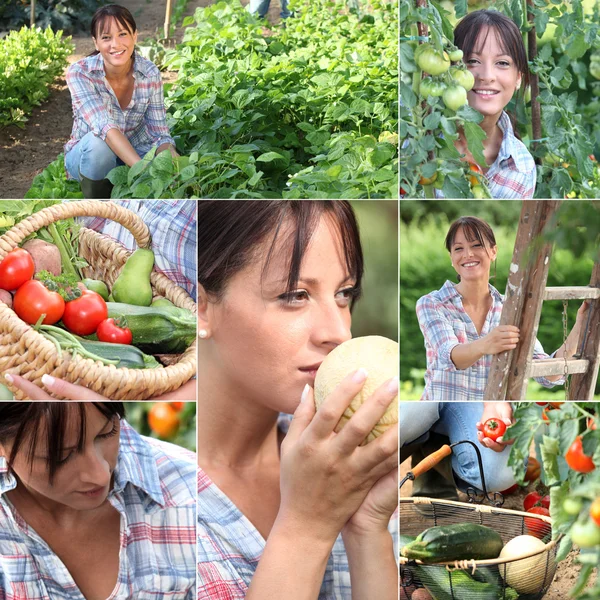 家庭菜園で女性のモザイク — ストック写真