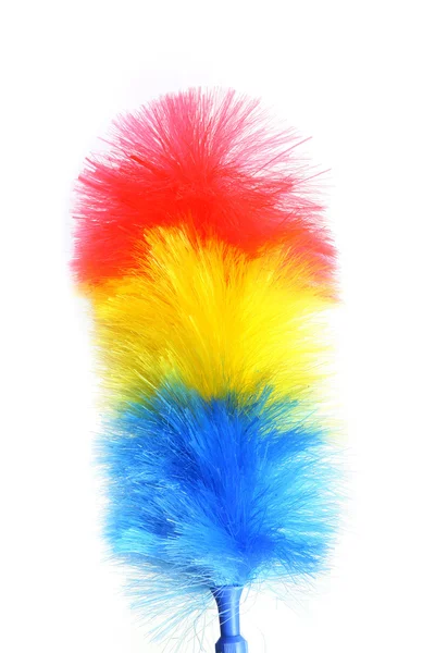stock image Feather duster