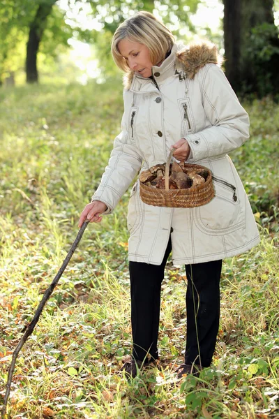 버섯을 찾는 여자 — 스톡 사진