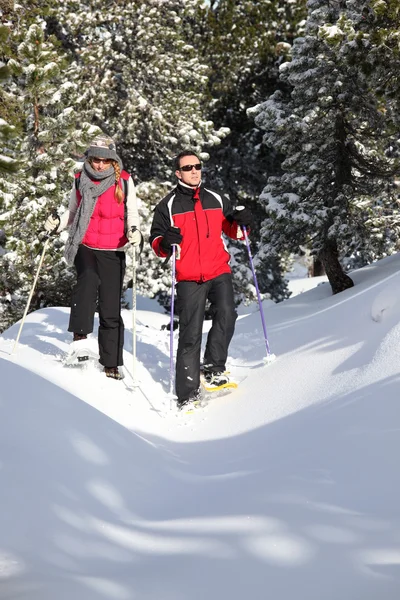 Couple skiing through the woods — Stock Photo, Image