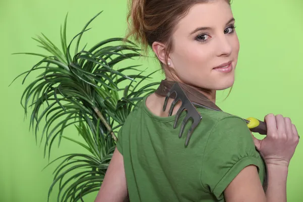 Meisje met een plant en een rek — Stockfoto