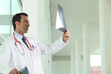 Doctor having a look at x-ray image clipart