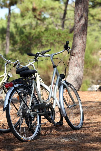 stock image Three bikes in the park