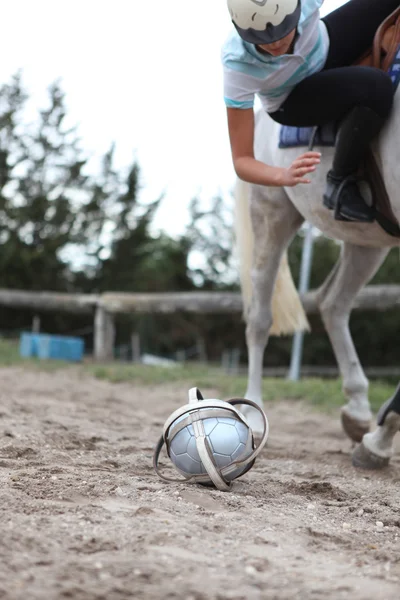 Giocare a horseball — Foto Stock
