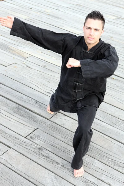 Man practicing martial arts — Stock Photo, Image