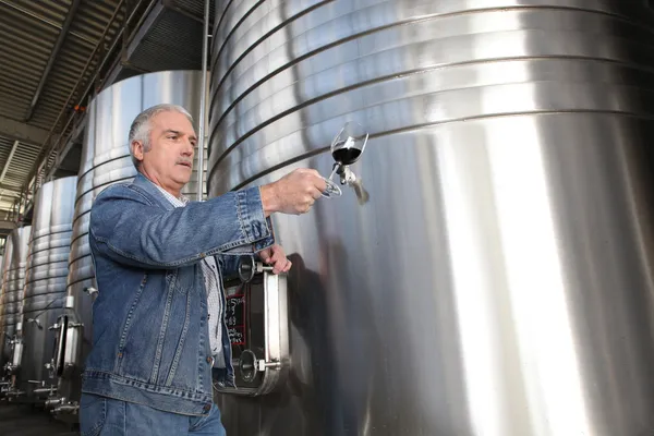 stock image Winemaker with a glass of wine in the cellar