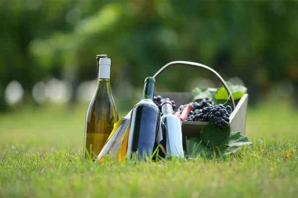 Корзина и бутылки вина в поле — стоковое фото