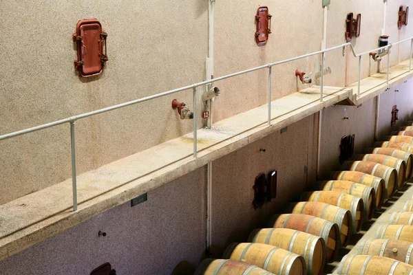 Armazém de vinho — Fotografia de Stock