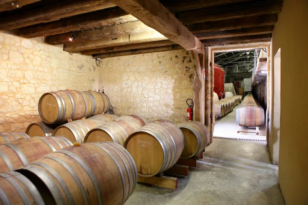 Rows of barrels in a cellar — Stock Photo, Image