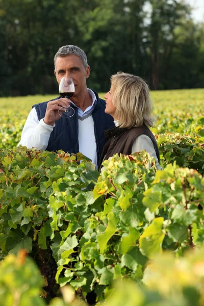 stock image Winegrowers in the vineyard with a glass of wine