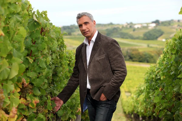 Viticultor en el viñedo —  Fotos de Stock