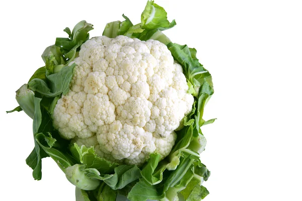 Whole Cauliflower — Stock Photo, Image