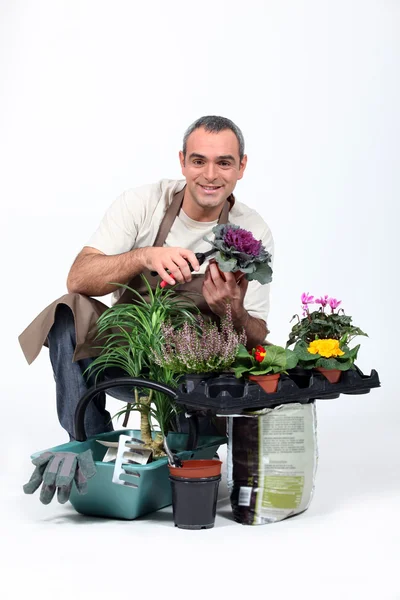 Zahradník poklekl rostlinami — Stock fotografie