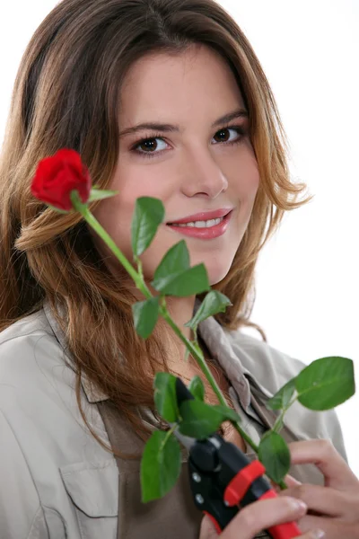 一朵红玫瑰和一把整枝剪的女人 — 图库照片