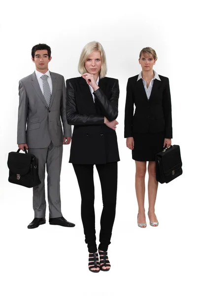 Elegant businesspeople — Stock Photo, Image