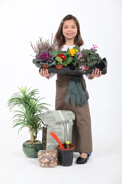 Kleines Mädchen als Floristin verkleidet — Stockfoto