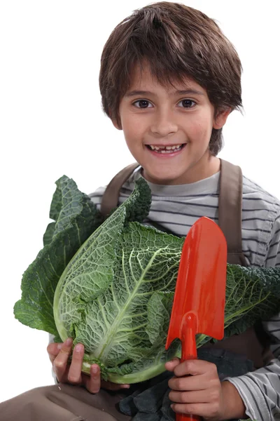 Cheeky lad carrying, vegetables, — Stock Photo, Image