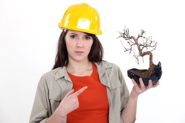 Tradeswoman holding a bonsai tree clipart