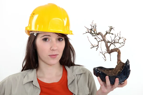 Niepewne tradeswoman trzyma się roślin bonsai — Zdjęcie stockowe