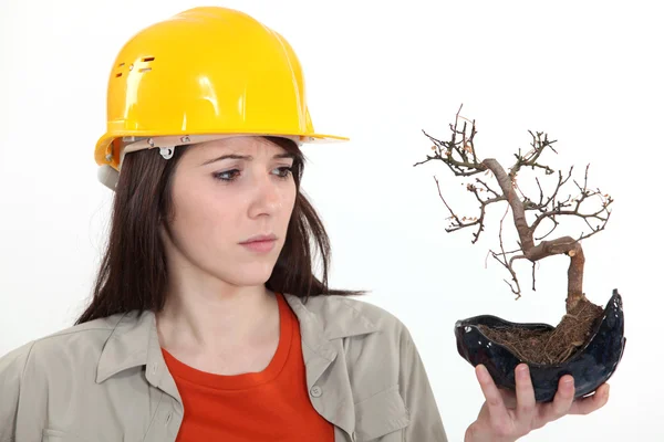 Woman holding a dead plant Stock Image