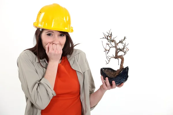 Apologetic woman holding burnt tree Royalty Free Stock Photos