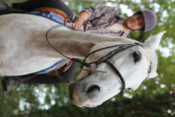Imagem de paisagem de cavalo de equitação adolescente — Fotografia de Stock