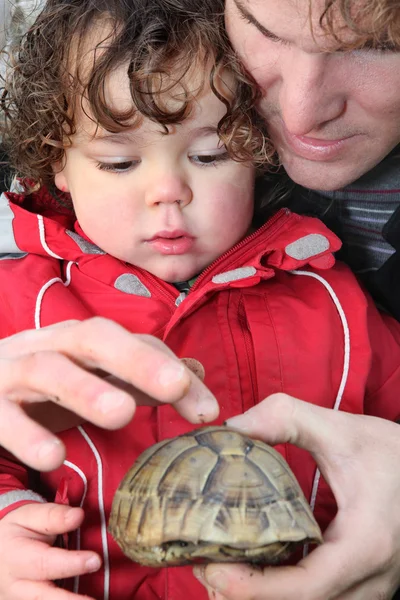 stock image Father and son with a tortoise