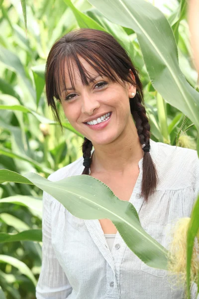 Woman in a maize field — Stock Photo, Image