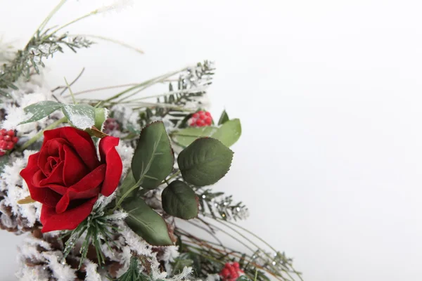 Karácsonyi Rózsa csokor — Stock Fotó