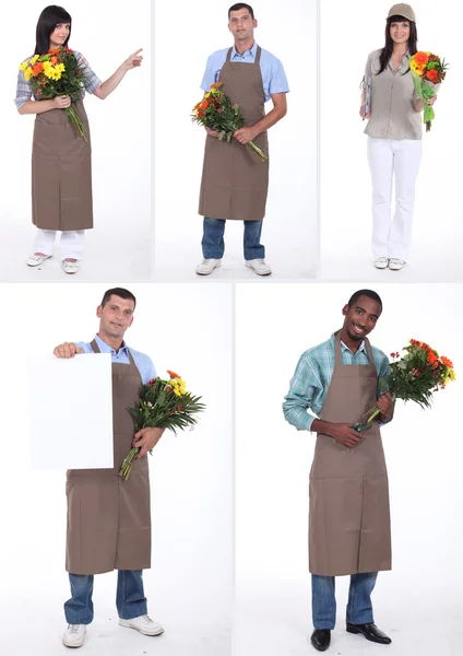 Montage of several florists — Stock Photo, Image