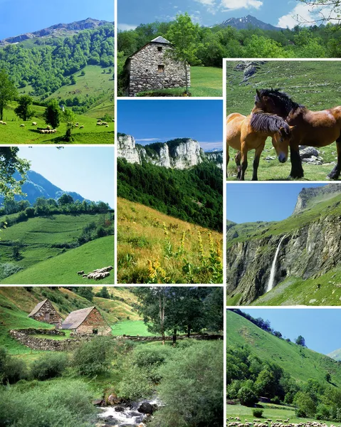 Various countryside images — Stock Photo, Image